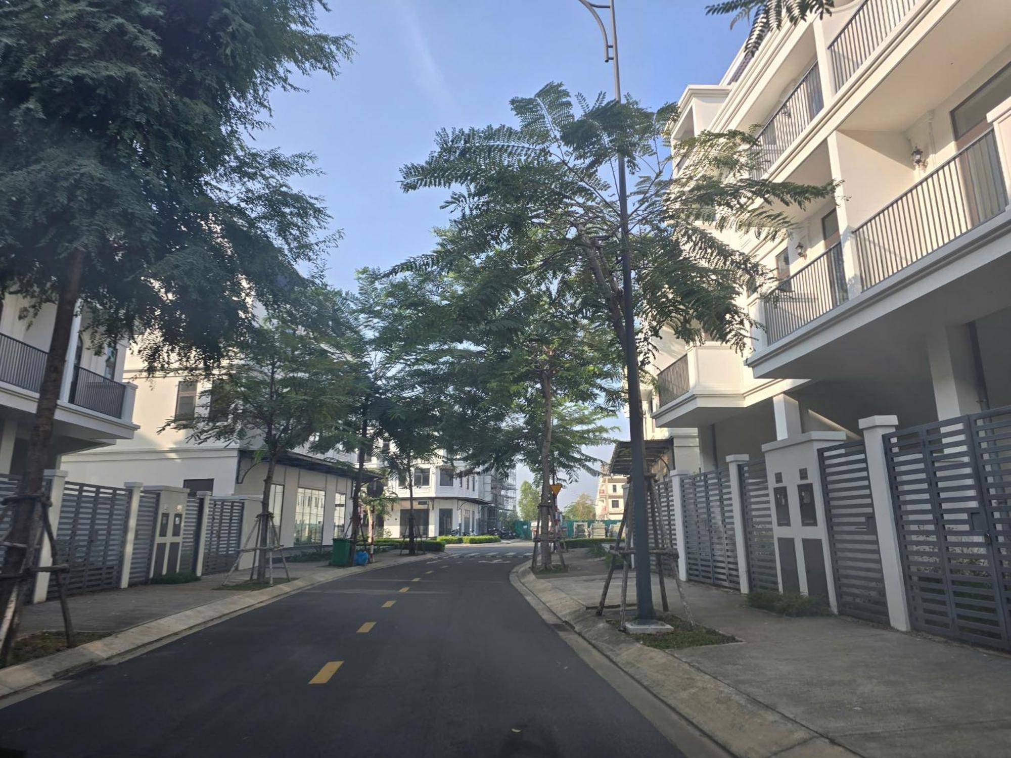 Zozo House - Homestay Bai Sau Vung Tau Pokój zdjęcie